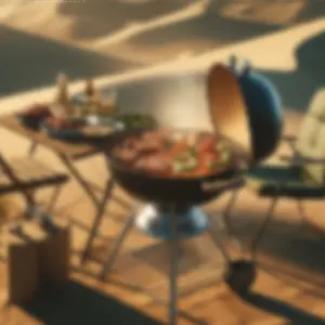 بوكسات الشواء